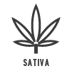 Sativa