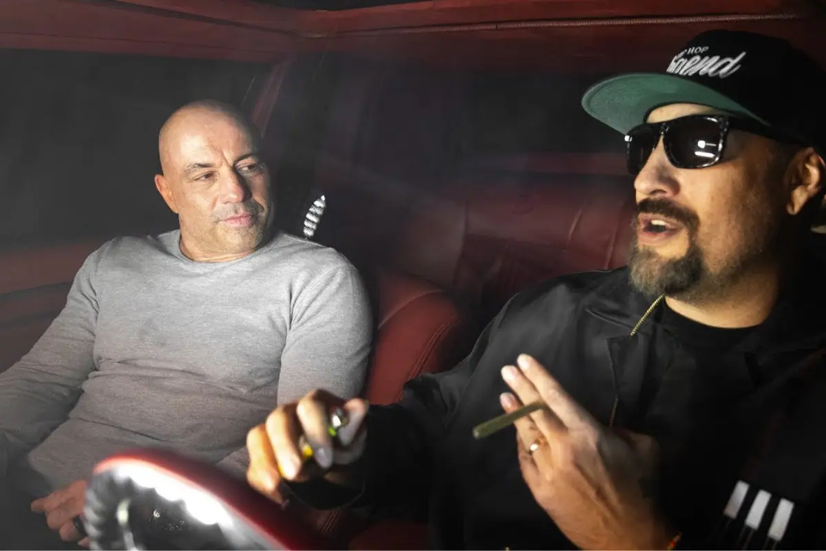 Joe Rogan And B Real Discuss CBD