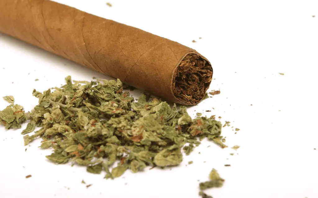 What Are Blunts - Cannabis Information