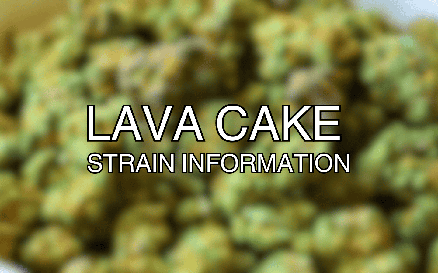 Lava Cake Strain Information
