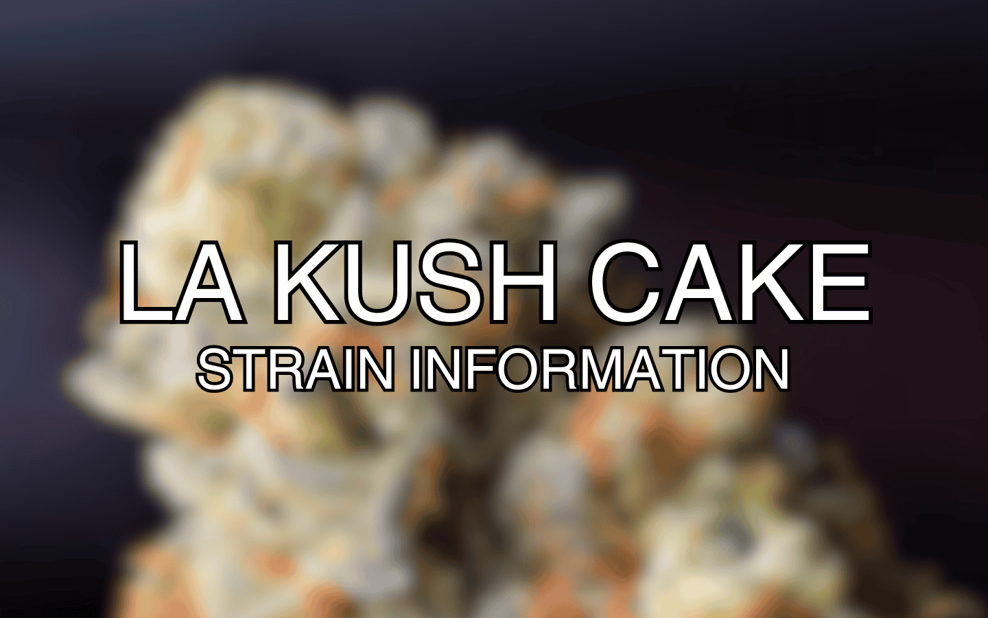 LA Kush Cake Strain Information