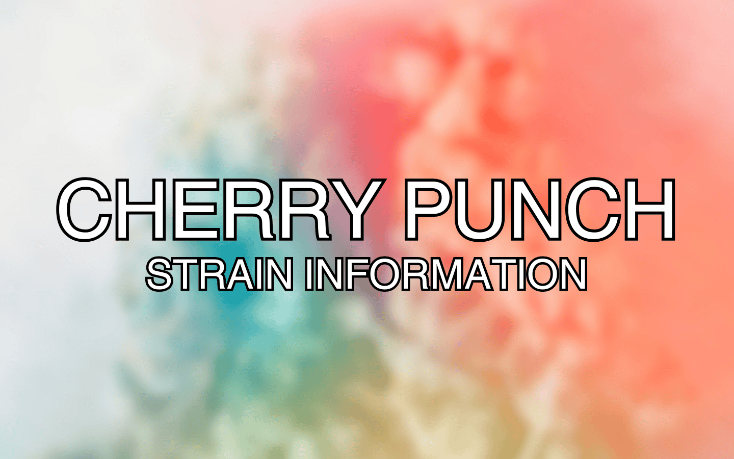 Cherry Punch Strain Information