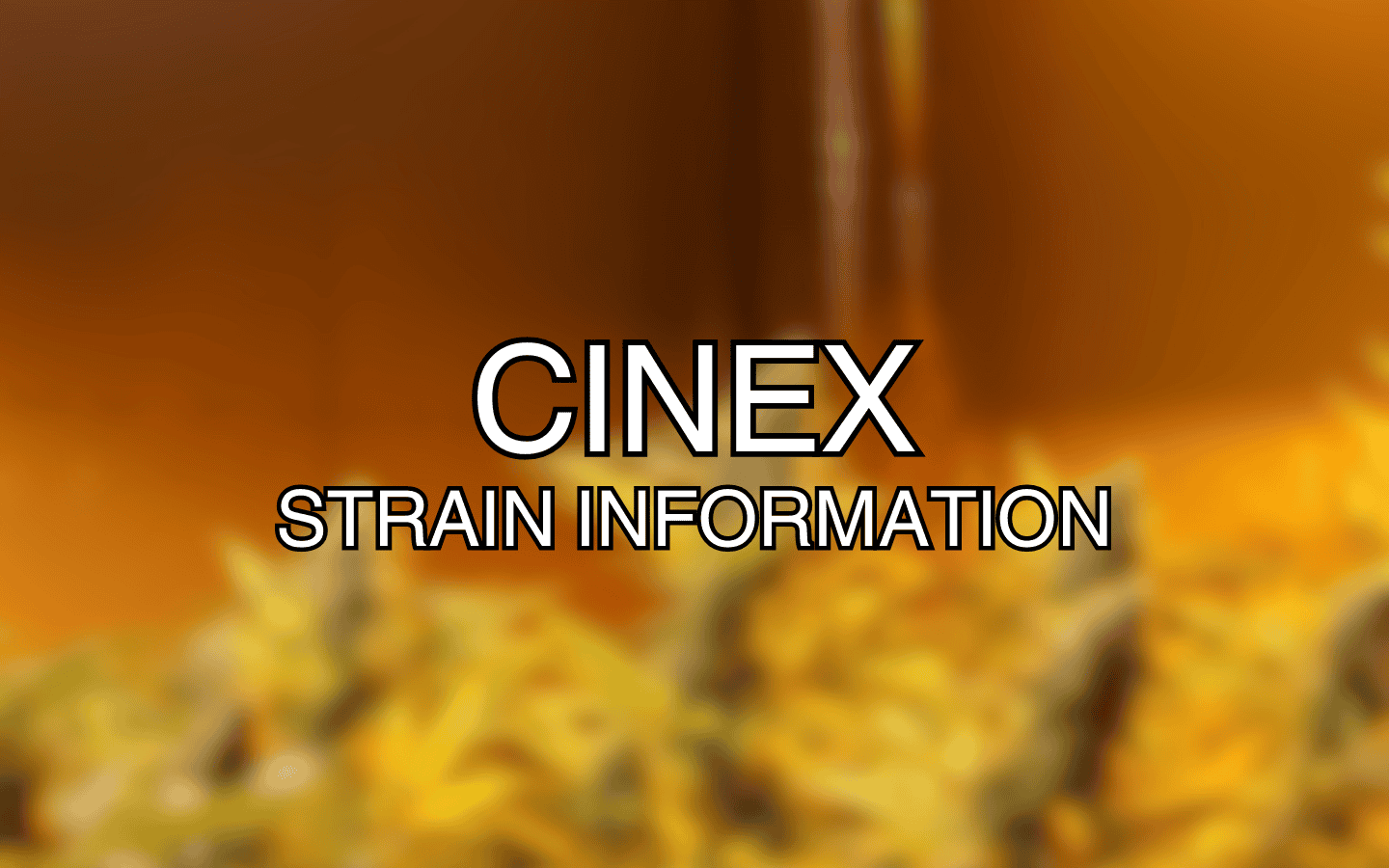 Cinex Strain Information