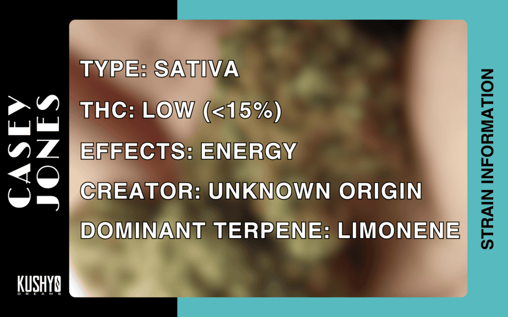Cannabis Information - Casey Jones Strain