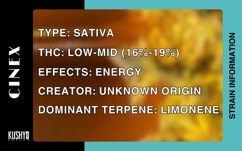 Cannabis Information - Cinex Strain