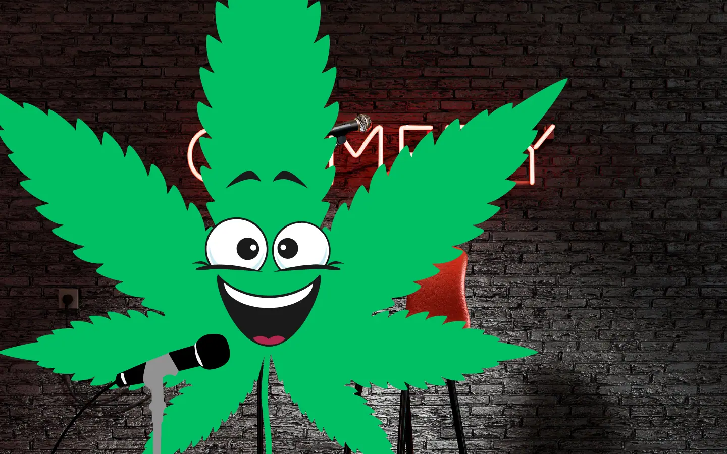 Best Jokes For Stoners