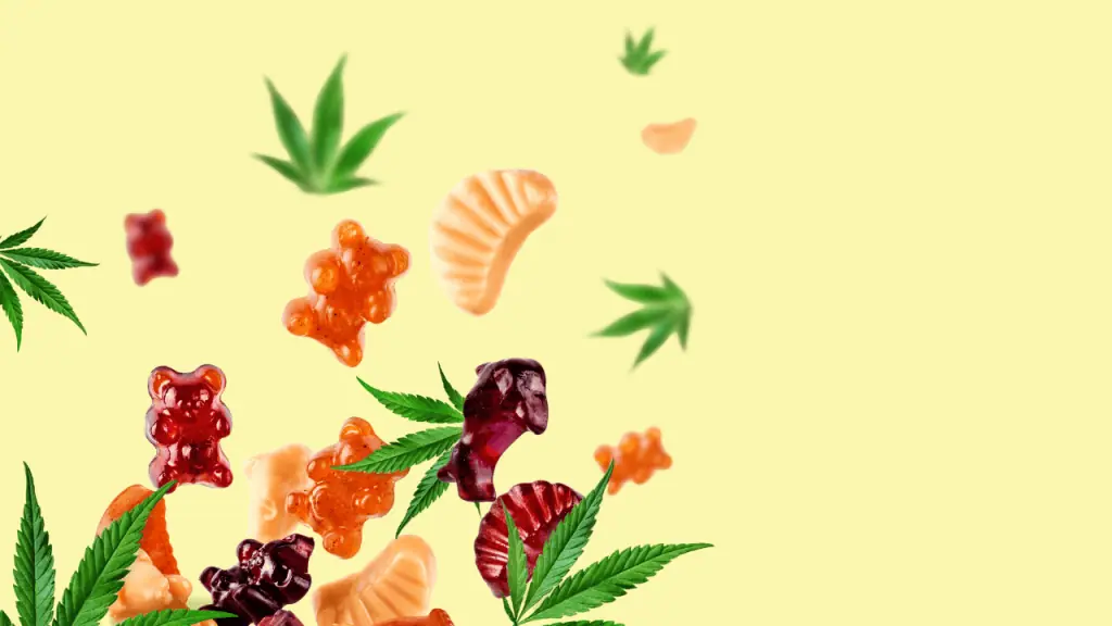 how to make cannabis gummies guide