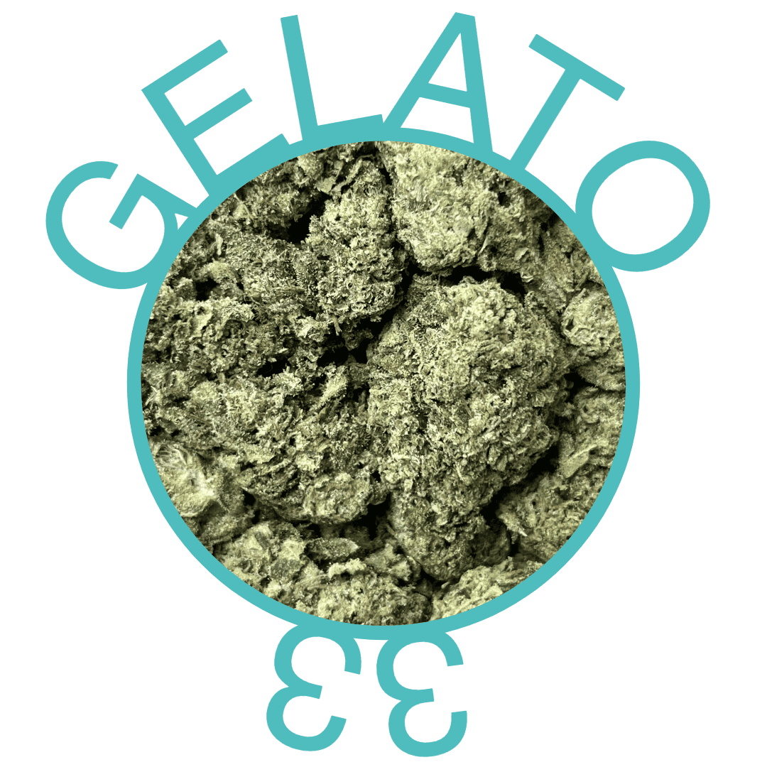 Exotic THCA Flower: Gelato 33 (Indica Dominant Hybrid) – 1 oz.